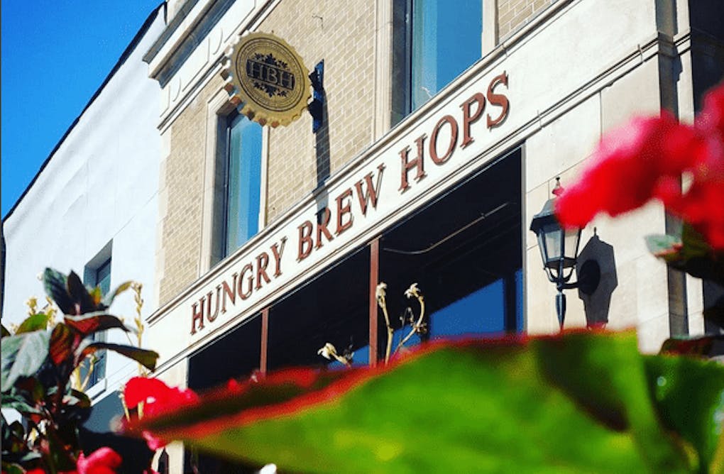 Big Red Visits Hungry Brew Hops in Newmarket